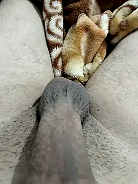 Zepe 12 online show from 02/12/26, 11:55