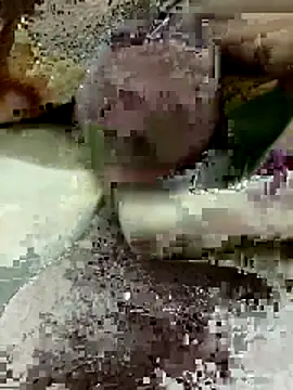 Zepe 12 online show from 03/22/26, 08:12