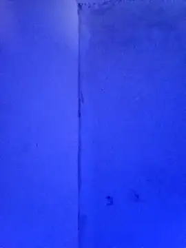 Snapshot of RandalHot chatting on 11/23/25, 02:06 RandalHot online show from 11/23/25, 02:06