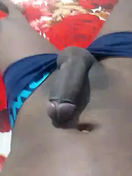 gatooo preto online show from 01/16/26, 05:28