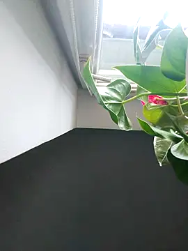 Czarnoksieznik online show from 11/02/25, 12:07