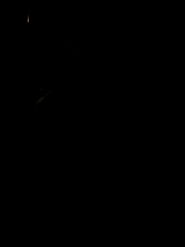 koukou322 online show from 11/02/25, 10:06