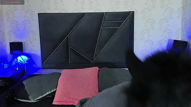 danny rios20 online show from 02/20/26, 08:20