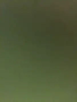 JuanitaMore01 online show from 02/16/26, 09:55