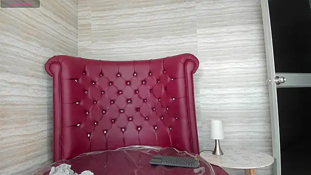 Snapshot of magnus_serket chatting on 02/27/26, 11:54 magnus serket online show from 02/27/26, 11:54