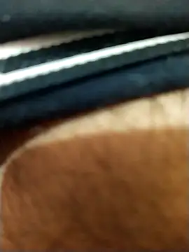 Snapshot of 8inches_DelhiBOY chatting on 11/17/25, 05:13 8inches DelhiBOY online show from 11/17/25, 05:13