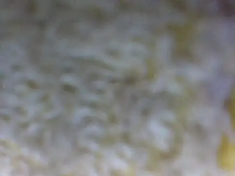 hell1212 25 online show from 03/21/26, 05:38