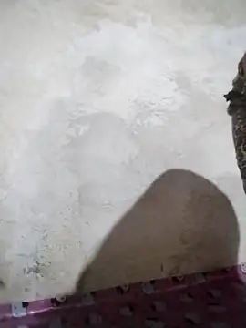 big booty15 online show from 10/05/25, 02:32