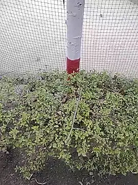 monty935 online show from 12/04/25, 11:41