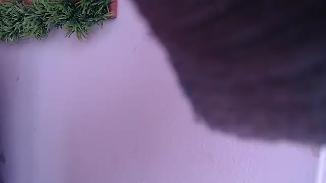 IVONNE COLLINS33 online show from 09/24/25, 01:47