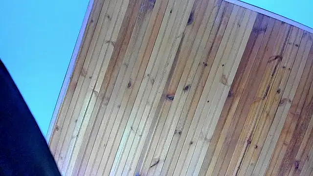 Snapshot of Angel_kanon chatting on 02/28/26, 12:28 Angel kanon online show from 02/28/26, 12:28