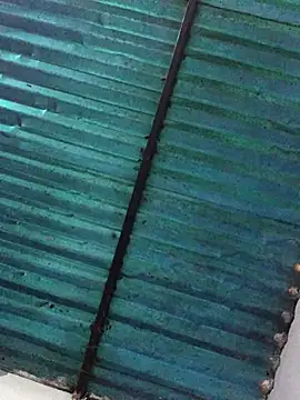 Snapshot of veronica_and_bryan chatting on 09/14/25, 03:49 veronica and bryan online show from 09/14/25, 03:49