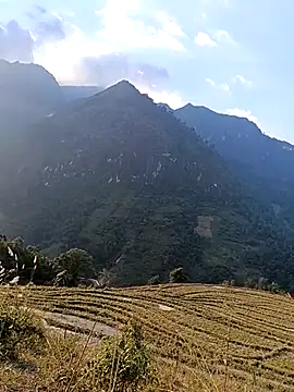 MuiNay online show from 11/24/25, 09:09