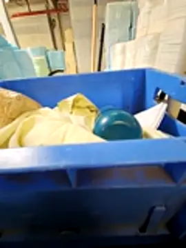 Stingles online show from 03/17/26, 12:41