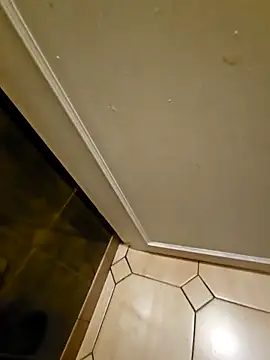 Stingles online show from 03/24/26, 04:06