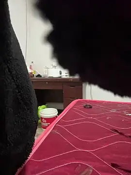 Snapshot of crhong666 chatting on 12/16/25, 12:26 crhong666 online show from 12/16/25, 12:26