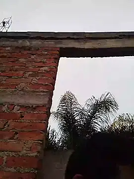 TragicAirplane168 online show from 12/14/25, 11:31