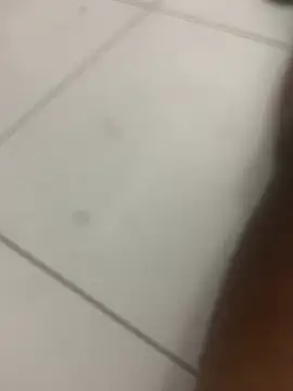 novin21rj online show from 04/07/26, 12:55