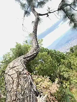 Snapshot of Alexis_Spicter chatting on 09/16/25, 05:03 Alexis Spicter online show from 09/16/25, 05:03