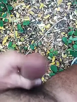 pegaso369 online show from 10/22/25, 01:44