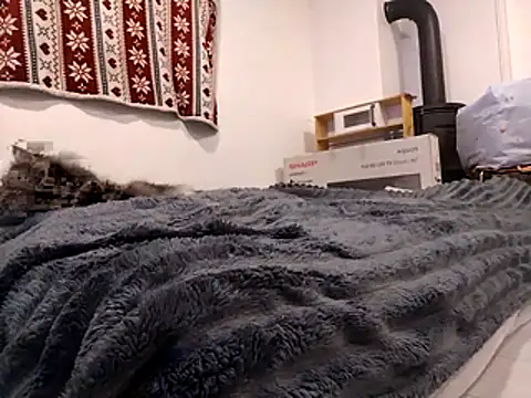 Snapshot of HoneySquirrel chatting on 10/10/25, 05:23 HoneySquirrel online show from 10/10/25, 05:23