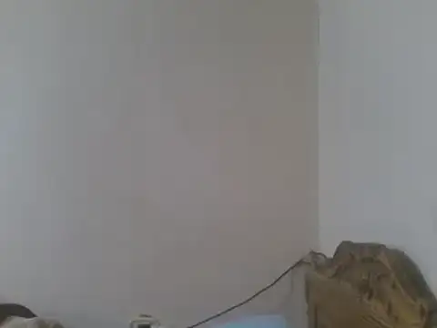 elpoop7305 online show from 06/03/26, 10:07