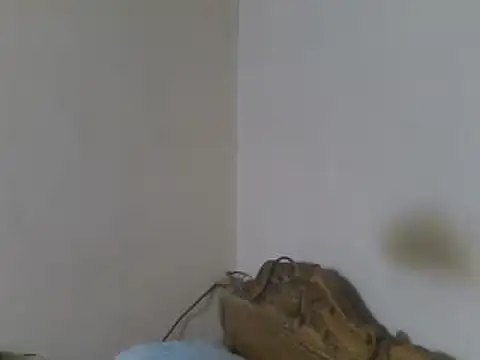 elpoop7305 online show from 06/08/26, 01:28