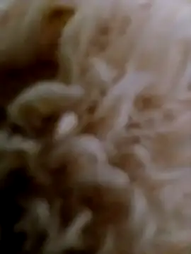 hanan-sex online show from 11/29/25, 07:28