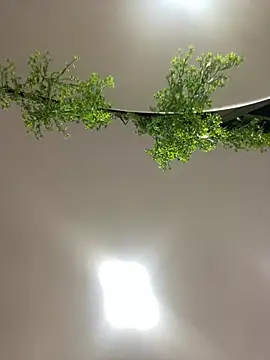 CharlotteBrownn  online show from 02/23/26, 03:04