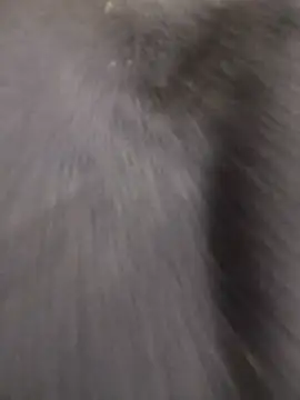 Funny Karina online show from 12/15/25, 06:34