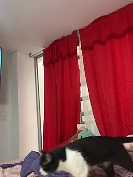 larsonbeverly online show from 04/21/26, 05:50