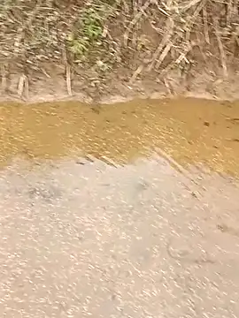 CoMay003 online show from 03/12/26, 05:35