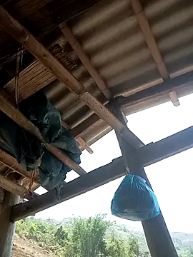 CoMay003 online show from 04/12/26, 04:50