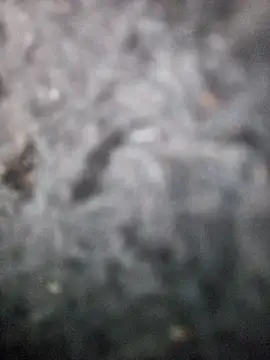 Romance32 online show from 11/03/25, 07:31