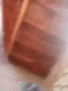 HOT-MUNDA online show from 02/09/26, 09:02