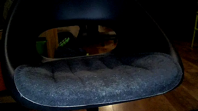 TobyDick13 online show from 01/17/26, 11:30