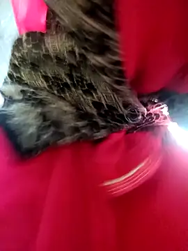 Juhi chawla online show from 12/04/25, 01:59