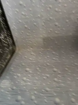 NoddingScorpion online show from 11/25/25, 08:58