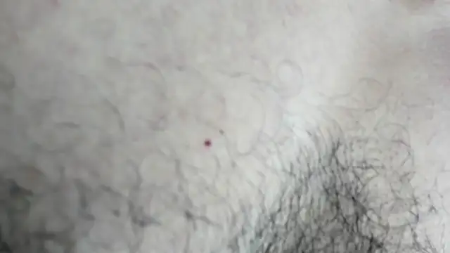 latinhotmuscle online show from 10/31/25, 03:18