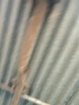 Hot-ilaiy online show from 09/09/25, 02:33