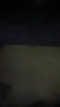 Vizgeboys online show from 05/24/26, 03:50