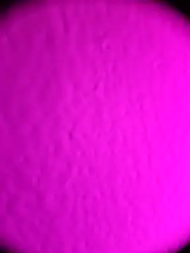 Snapshot of Michou02xXx chatting on 02/18/26, 04:52 Michou02xXx online show from 02/18/26, 04:52