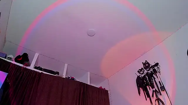 dex 55 online show from 04/15/26, 11:05