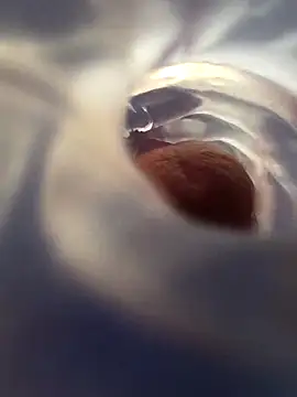 Snapshot of BooBooKittyFuhck chatting on 11/29/25, 02:31 BooBooKittyFuhck online show from 11/29/25, 02:31