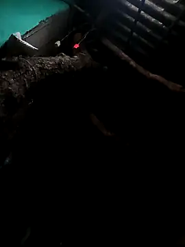 Snapshot of Suhana_pandit chatting on 09/29/25, 09:19 Suhana pandit online show from 09/29/25, 09:19