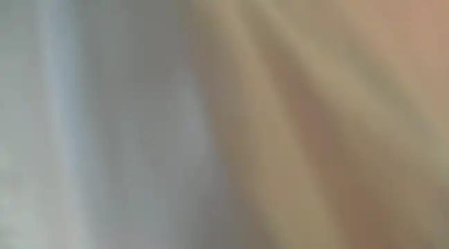 Snapshot of Liz_Hu chatting on 12/06/24, 11:00 Liz Hu online show from 12/06/24, 11:00