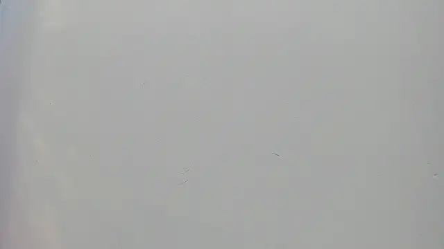 Saammy 17 online show from 09/25/25, 08:23