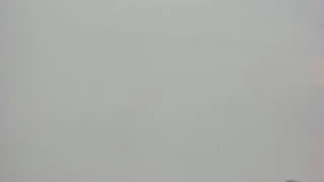 Saammy 17 online show from 10/07/25, 08:06