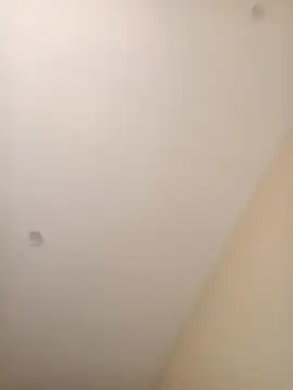 Snapshot of ElBufalo4l chatting on 11/04/25, 01:21 ElBufalo4l online show from 11/04/25, 01:21