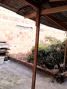 hoteder online show from 11/28/25, 12:52